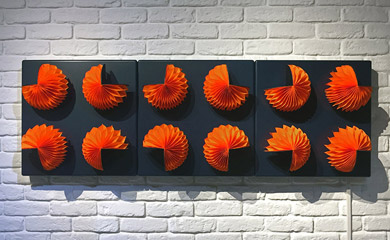 Fuchsia, Orange and Royal Blue