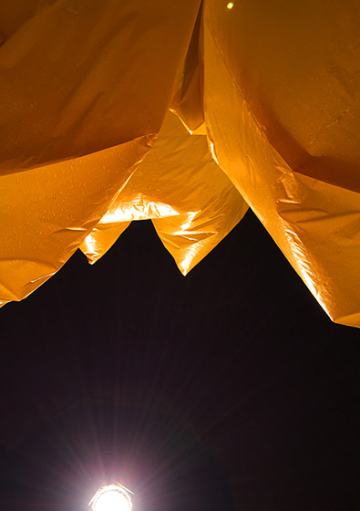 Nils V&ouml;lker - fig. 1