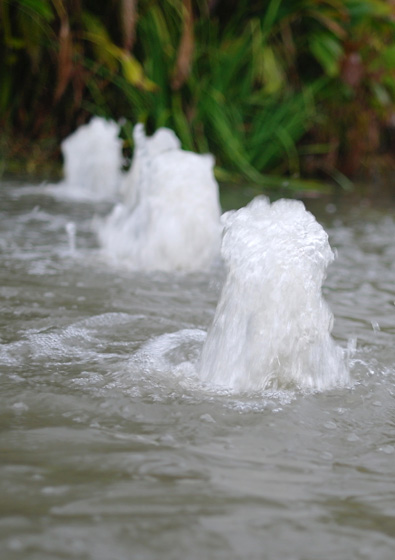 Nils V&ouml;lker - Fountains