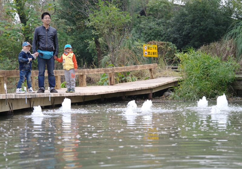 Nils V&ouml;lker - Fountains