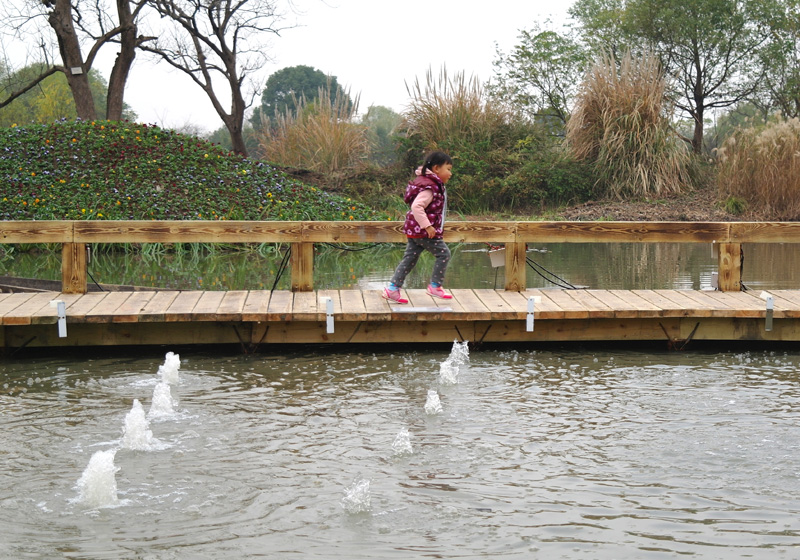 Nils V&ouml;lker - Fountains