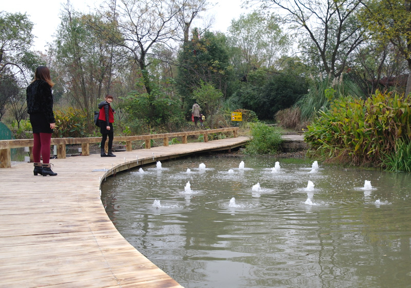 Nils V&ouml;lker - Fountains