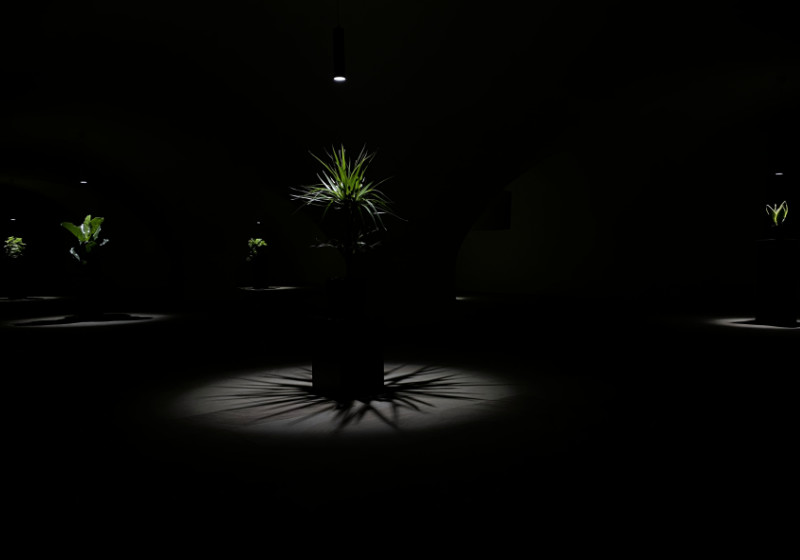 Nils V&ouml;lker - Houseplants