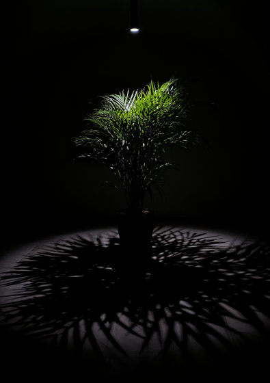 Nils V&ouml;lker - Houseplants