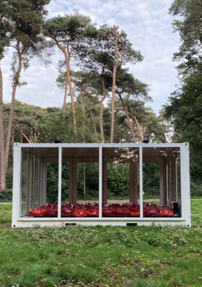 Nils V&ouml;lker - Ninety